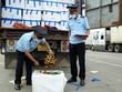 Trung Quốc thiết lập 14 khu tập kết nông sản, lương thực nhập từ Việt Nam