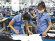 Dệt may chưa tận dụng triệt để ưu đãi thuế quan sang EU theo EVFTA
