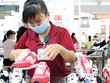 Xuất khẩu sang EU vẫn tăng đều