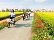 51.500 tỷ đồng vốn Trung ương cho xây dựng nông thôn mới có khả thi