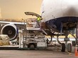 Chính phủ yêu cầu Bộ Giao thông sớm báo cáo về hãng hàng không vận tải IPP Air Cargo
