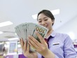 Gạt nỗi lo tiền đồng mất giá