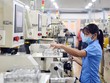 Bức tranh kinh tế 6 tháng đầu năm: Không hoàn toàn là màu hồng hay màu xám