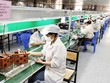 Nhà máy sáng đèn, nhưng doanh nghiệp chưa thể thở phào