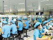 263 doanh nghiệp ở Bắc Giang hoạt động trở lại, với gần 80.000 công nhân