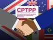 Ra mắt sổ tay Tìm hiểu thị trường mua sắm công Việt Nam qua lăng kính CPTPP