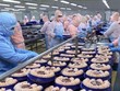 Xuất khẩu nửa đầu tháng 7 giảm, nhập siêu lại tăng