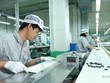 Cơ hội cho nhà đầu tư “cá mập” vào Rạng Đông