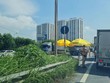 Thủ tướng chỉ đạo khẩn về vận chuyển hàng hóa thiết yếu phục vụ người dân vùng có dịch