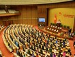 Quốc hội tin tưởng lãnh đạo mới được bầu sẽ đưa đất nước vượt qua khó khăn