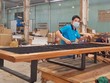 Mỹ sẽ không ban hành biện pháp hạn chế thương mại nào với hàng hóa Việt Nam