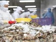 Cà Mau dừng hoạt động các cơ sở sơ chế tôm để phòng Covid-19