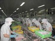Cần Thơ: Tạm dừng hoạt động doanh nghiệp không đảm bảo điều kiện phòng, chống dịch