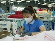 Sản xuất dệt may chịu nhiều áp lực