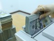 Tỷ giá liệu có biến động trong nửa cuối năm?