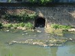 Lâm Đồng: Xử phạt doanh nghiệp xả thải không phép