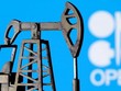 Các nhân vật có máu mặt chỉ trích Nhà Trắng thúc OPEC tăng sản lượng