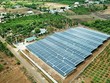 “Cơn lốc” điện mặt trời quét qua, quy hoạch đất đai bị phá nát - Bài 4: Mở đường hợp thức hóa?