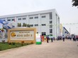 Lợi nhuận còn tăng mạnh, nhưng định giá đã quá cao, cổ phiếu phân bón không còn hấp dẫn