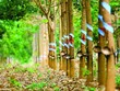 Cao su Phước Hòa (PHR) với rủi ro chậm được phê duyệt dự án