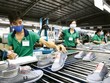 Việt Nam là mắt xích quan trọng trong chuỗi cung ứng của Hoa Kỳ