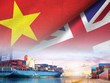 Chỉ định cơ quan đầu mối triển khai Hiệp định UKVFTA
