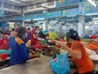 Đà Nẵng từng bước mở lại hoạt động các chợ truyền thống