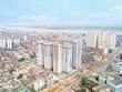 Thị trường địa ốc ngóng "vắc-xin" chính sách