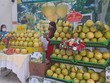 Hà Tĩnh: Kết nối trực tuyến với 300 điểm cầu để tiêu thụ bưởi Phúc Trạch
