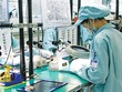 Xuất khẩu máy tính, sản phẩm điện tử sẽ cán mốc 50 tỷ USD