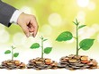Chọn mặt... đầu tư trái phiếu doanh nghiệp