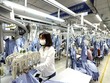 Đưa hợp tác kinh tế Việt Nam - Cuba lên ngang tầm quan hệ chính trị