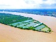 Tập đoàn T&T đề xuất đầu tư 3 dự án qui mô 554 ha tại Cần Thơ