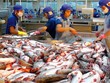 Gần 70% thủy sản sang EU được ưu đãi thuế quan theo EVFTA