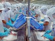 Đề xuất bỏ áp dụng giới hạn giờ làm thêm đến ngày 1/1/2025