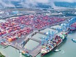 “Vùng xanh” đất công nghiệp Bà Rịa - Vũng Tàu