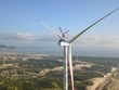 Trường Thành (TTA): Nhà máy phong điện Phương Mai 1 được công nhận vận hành thương mại 24MW