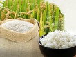 Doanh nghiệp nông thủy sản xuất khẩu sang EU lưu ý dư lượng hóa chất vượt ngưỡng