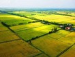 Đề xuất tiếp tục thực hiện chính sách hỗ trợ bảo hiểm nông nghiệp với địa bàn rộng hơn