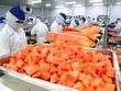Bộ Công Thương hoàn tất đăng ký doanh nghiệp sản xuất thực phẩm xuất khẩu đi Trung Quốc