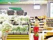 “Đường đua” FDI sôi động trở lại