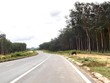 Chuyển đổi đất công nghiệp: Không dễ với GVR