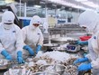 Doanh nghiệp thủy sản sụt giảm 35-50% đơn hàng xuất khẩu do bị hoãn/huỷ đơn
