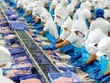 Quý II/2020, Vĩnh Hoàn VHC chi hơn 190 tỷ đồng đầu tư cổ phiếu MWG, FPT, HPG...