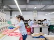 May Sông Hồng (MSH) trả cổ tức 30% bằng tiền mặt