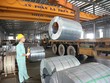 Tập đoàn Thành Nam (TNI) dự kiến trả cổ tức 5% bằng tiền mặt 
