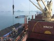 Viet Phat Group (VPG) chuẩn bị chào bán 30 triệu cổ phiếu, giá 18.000 đồng/CP