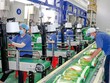 Trung An (TAR) chuẩn bị chào bán riêng lẻ 25 triệu cổ phiếu với giá 18.000 đồng/CP