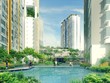 Vạn Phát Hưng (VPH): Vi phạm tại dự án Nhơn Đức là hành vi “vô tình”