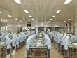 Thủy sản Bến Tre (ABT): Cước tàu tăng mạnh, lợi nhuận sau thuế quý III/2021 vỏn vẹn 1 tỷ đồng